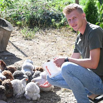 Zwerg-Cochin - Rasseportrait #13