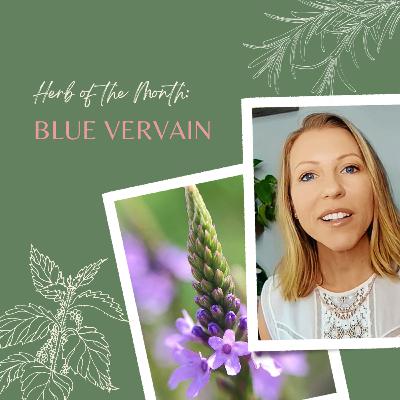 Herb of the Month: Blue Vervain