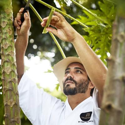 Glez-Mid Term Project-lex5