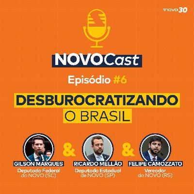 #6 Desburocratizando o Brasil