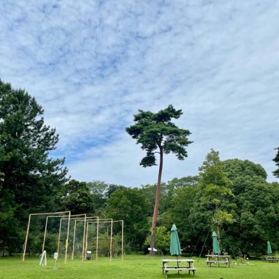 【徒然話】コーヒーを飲みながら 2022.08.01(月)