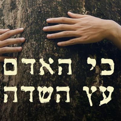 על איסור כריתת עצי המאכל - והזיקה למצב המלחמה והתודעה הדיס-הרמונית. מאמר מיוחד לחג האילנות טו׳ בשבט