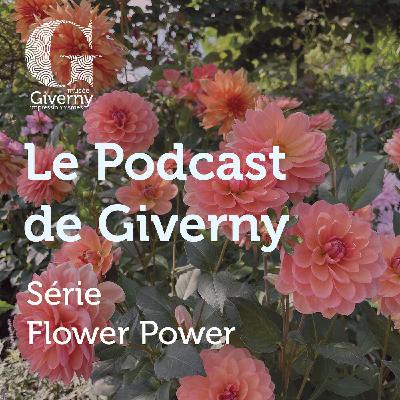 Les bouquets Les bouquets