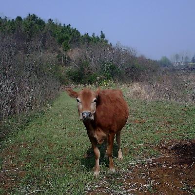 Go白贵阳第9期-儿时最美的回忆