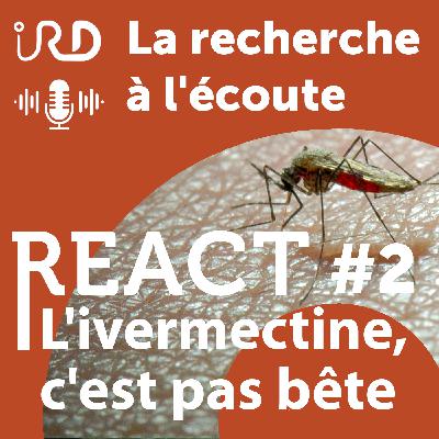 L'ivermectine : C’est pas bête ! L'ivermectine : C’est pas bête !