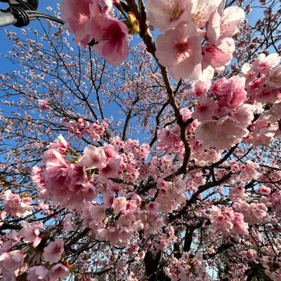 ひふみ塾って、どんな人がいるの？　本日は、１２時間RADIOで、個性がズラーッとダダ漏れ(o^^o)