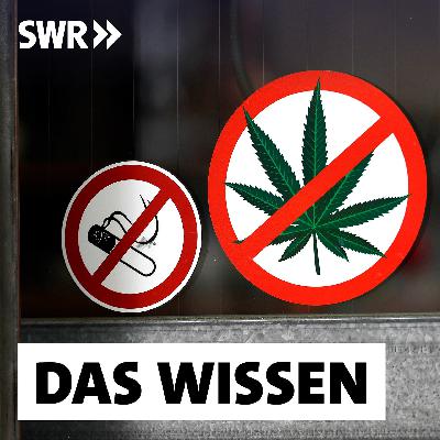 Cannabis, Alkohol, Tabak – Warum Drogen erlaubt oder verboten werden