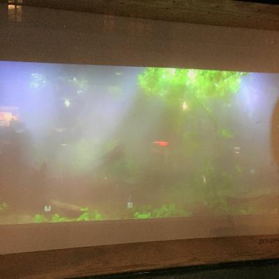 Haptic Hortus: Wasserpflanzen zum Klingen bringen Haptic Hortus: Wasserpflanzen zum Klingen bringen