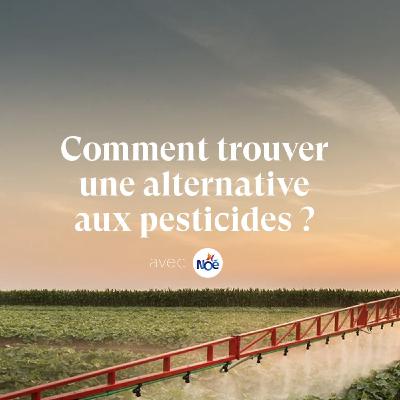 Comment trouver une alternative aux pesticides ?