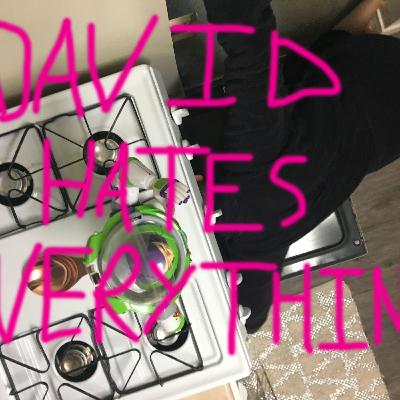 David Hates Everything Episode 1 David Hates Everything Episode 1