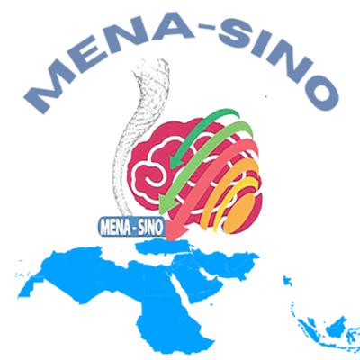 Evaluating Flow Diverters for Posterior Circulation Aneurysms: Safety, Effectiveness, and Outcomes