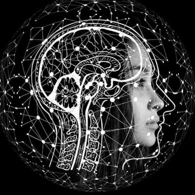 El Cerebro del Bebé El Cerebro del Bebé