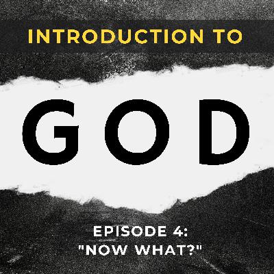 Episode 4: Now What?