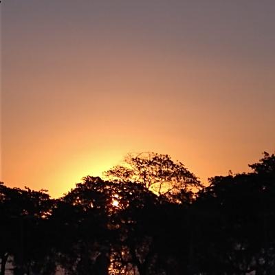 Portal aberto! Vamos Meditar? Portal aberto! Vamos Meditar?