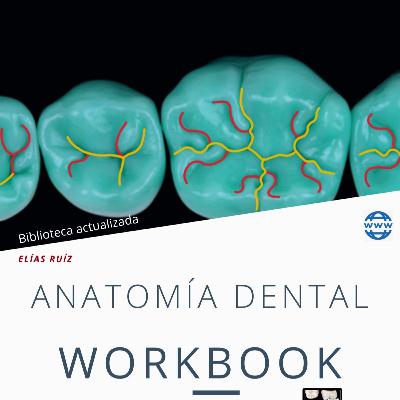 Generalidades de Anatomía Dental Generalidades de Anatomía Dental
