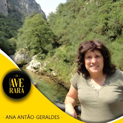 205 - Manual de sobrevivência académica e financeira (com histórias picantes à mistura) - com Ana Antão-Geraldes