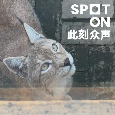 女性野生动物摄影师│🐒 NO.23 看见野生动物之美,更看见Ta们的困境 女性野生动物摄影师│🐒 NO.23 看见野生动物之美,更看见Ta们的困境