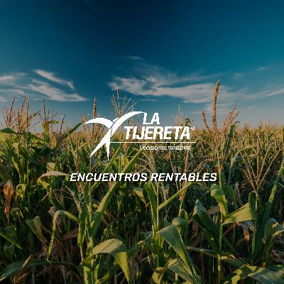 Encuentros Rentables | Innovando en el sur: maíz de baja densidad sobre suelos someros