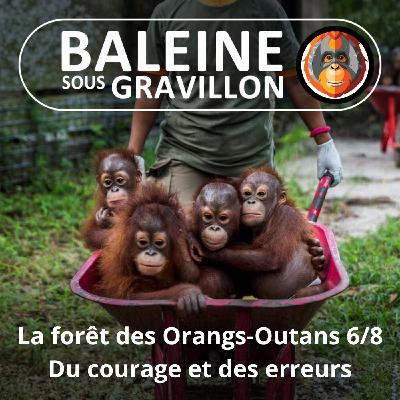 S07E118 Les Orangs-Outans 6/8 : Le courage... et les erreurs de Birutė (Emmanuelle Grundmann)