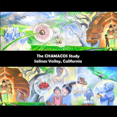 Pesticides: The results and reasoning behind The CHAMACOS Study in Salinas Valley, CA.