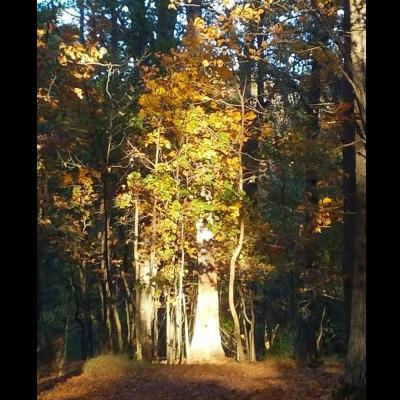 It's Your Life It's Your Life