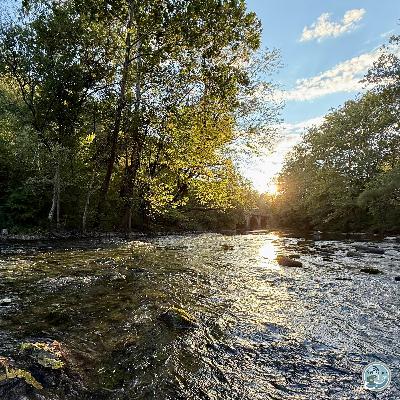 S7, Ep 77: Fall Fishing Forecast: Navigating Low Water and Technical Tactics with George Costa S7, Ep 77: Fall Fishing Forecast: Navigating Low Water and Technical Tactics with George Costa