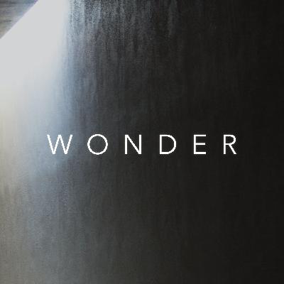 Wonder: The Call of the Servant King – Mark Sayers