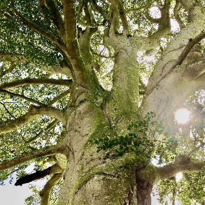 Episode 12 - Hearing Women's Voices