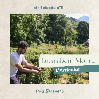 #11 ⟐ Cultiver du thé dans les Pyrénées avec Lucas Ben-Moura et le domaine l'Arrieulat