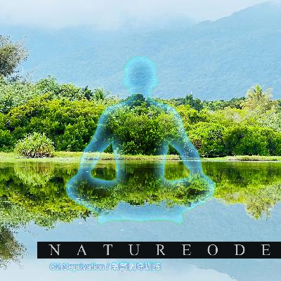 闭气冥想[高级]·湿地纯氧