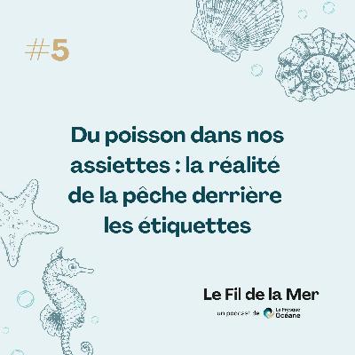 #5 Du poisson dans nos assiettes : la réalité de la pêche derrière les étiquettes