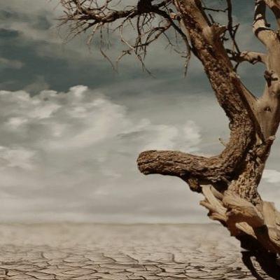 Réponses régionales à la mobilité climatique : lancement de Climate Mobility Africa Insights Réponses régionales à la mobilité climatique : lancement de Climate Mobility Africa Insights