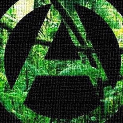 Anarchy wrestling podcast:She Regrets nothing review