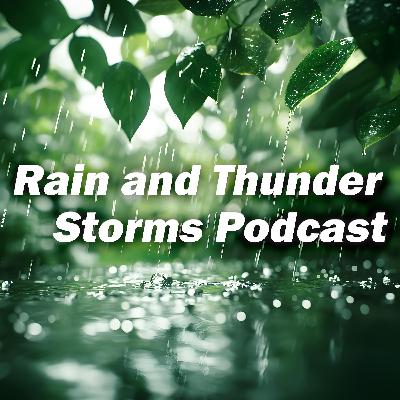 Gentle Night Rain & Soft Thunder Echoes