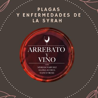 Plagas y enfermedades de la Syrah