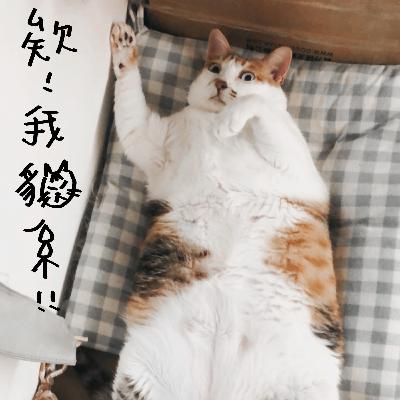 首錄-熱愛105 °C的你