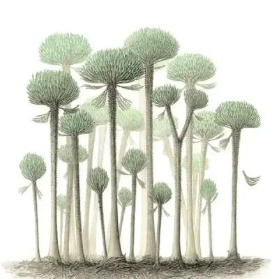 Ep. 560 - Revisiting Earth's First Forests Ep. 560 - Revisiting Earth's First Forests