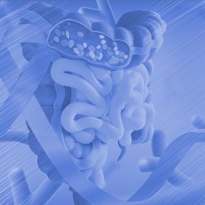 El rol de la MICROBIOTA en LA SALUD DIGESTIVA actual y futura