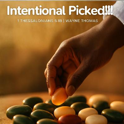 Intentional Picked!!! Intentional Picked!!!