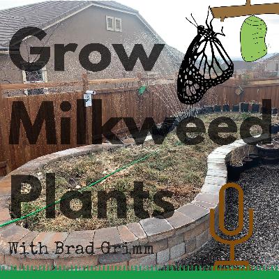 GMP 45: Blood Avocados And The Cartel