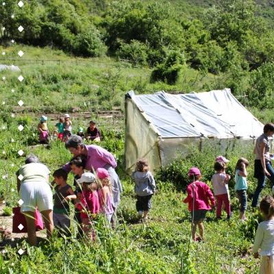 Mettez-les dehors - Episode 5 - Venterol