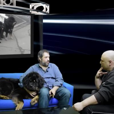 Θιβετιανό Μαστίφ Tibetan Mastiff. Φυλές Σκύλων! Συμπεριφορά, εκπαίδευση, υγεία, πρότυπο!