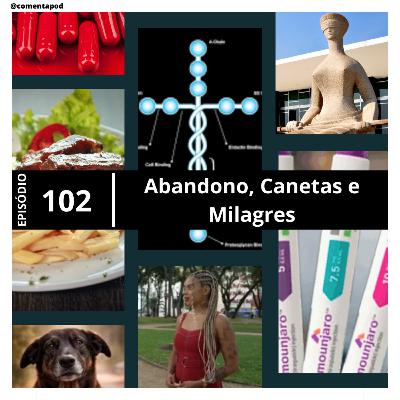 Episódio 102 - Abandono, Canetas e Milagres