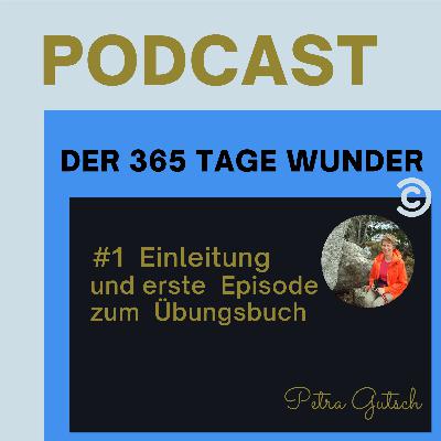 Podcast 365 Tage Wunder mit Petra