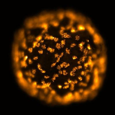 Cuando la biología se convierte en robótica: un viaje al mundo de los biobots Cuando la biología se convierte en robótica: un viaje al mundo de los biobots