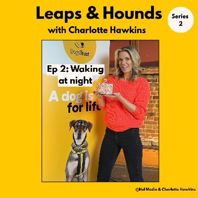 2. Help! My dog wakes me in the night @leapsandhoundspodcast 2. Help! My dog wakes me in the night @leapsandhoundspodcast