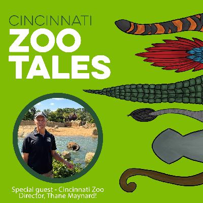 Celebrating 150 Years of the Cincinnati Zoo with Director Thane Maynard