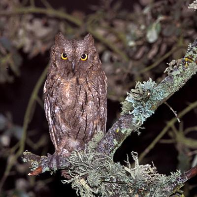 Team Autillo: delante de tu casa Team Autillo: delante de tu casa