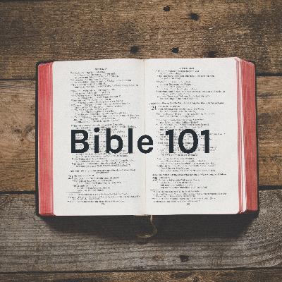 A Walk Through the Word of the Lord Lesson 14