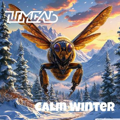 DJ Шмель-Calm Winter
